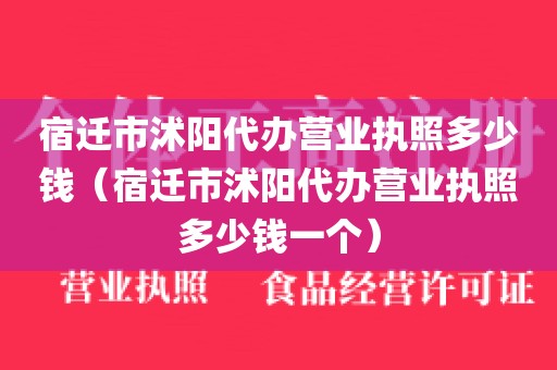 宿迁市沭阳代办营业执照多少钱（宿迁市沭阳代办营业执照多少钱一个）