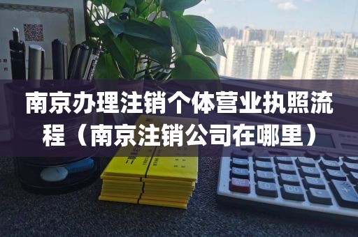 南京办理注销个体营业执照流程(南京注销公司在哪里)