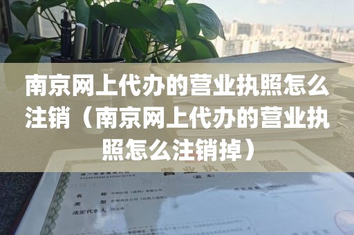南京网上代办的营业执照怎么注销（南京网上代办的营业执照怎么注销掉）