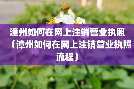 漳州如何在网上注销营业执照（漳州如何在网上注销营业执照流程）