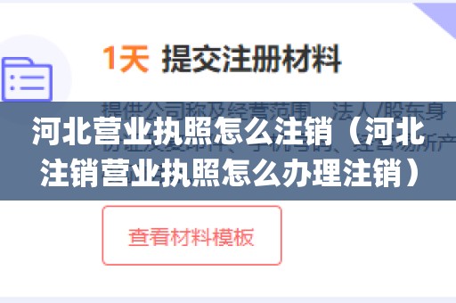 河北营业执照怎么注销(河北注销营业执照怎么办理注销)