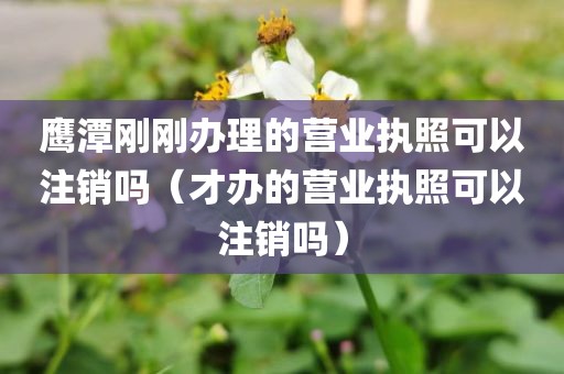鹰潭刚刚办理的营业执照可以注销吗（才办的营业执照可以注销吗）