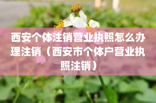 西安个体注销营业执照怎么办理注销（西安市个体户营业执照注销）