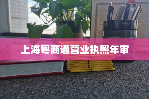 上海粤商通营业执照年审