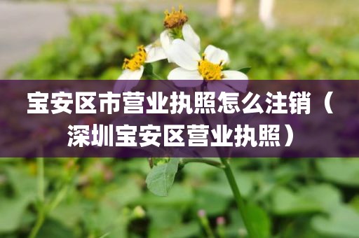 宝安区市营业执照怎么注销（深圳宝安区营业执照）
