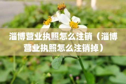 淄博营业执照怎么注销（淄博营业执照怎么注销掉）