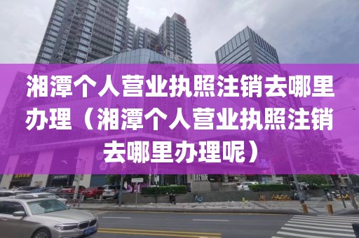 湘潭个人营业执照注销去哪里办理（湘潭个人营业执照注销去哪里办理呢）