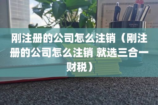 刚注册的公司怎么注销（刚注册的公司怎么注销 就选三合一财税）