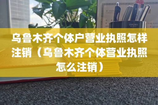乌鲁木齐个体户营业执照怎样注销（乌鲁木齐个体营业执照怎么注销）