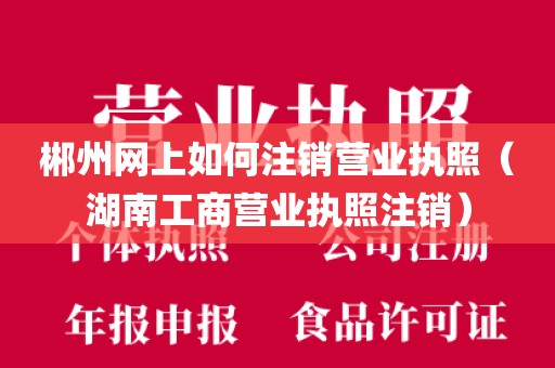 郴州网上如何注销营业执照（湖南工商营业执照注销）