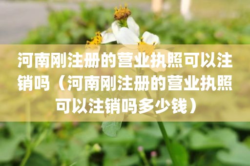 河南刚注册的营业执照可以注销吗（河南刚注册的营业执照可以注销吗多少钱）
