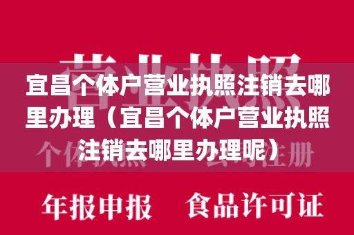 宜昌个体户营业执照注销去哪里办理（宜昌个体户营业执照注销去哪里办理呢）