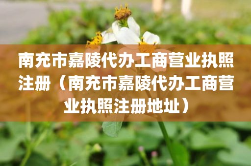 南充市嘉陵代办工商营业执照注册（南充市嘉陵代办工商营业执照注册地址）