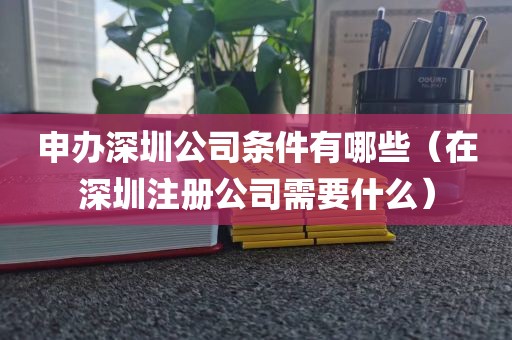 申办深圳公司条件有哪些（在深圳注册公司需要什么）