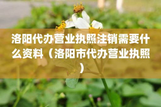 洛阳代办营业执照注销需要什么资料（洛阳市代办营业执照）