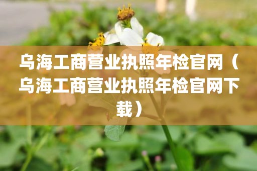 乌海工商营业执照年检官网（乌海工商营业执照年检官网下载）