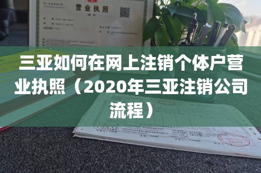 三亚如何在网上注销个体户营业执照（2020年三亚注销公司流程）