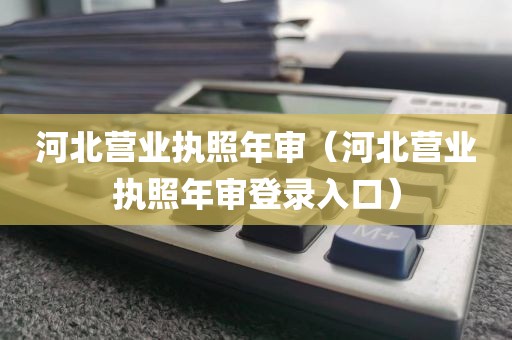 河北营业执照年审(河北营业执照年审登录入口)