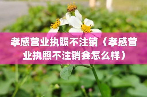 孝感营业执照不注销（孝感营业执照不注销会怎么样）