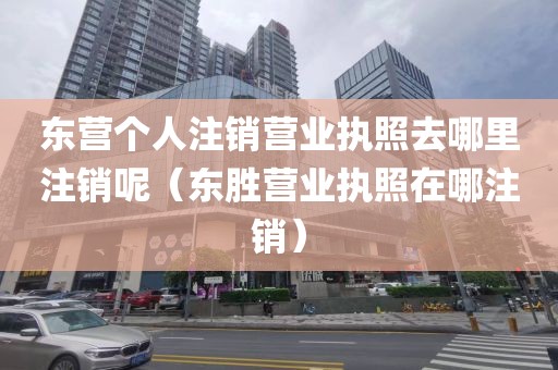 东营个人注销营业执照去哪里注销呢（东胜营业执照在哪注销）