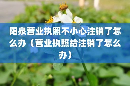 阳泉营业执照不小心注销了怎么办（营业执照给注销了怎么办）
