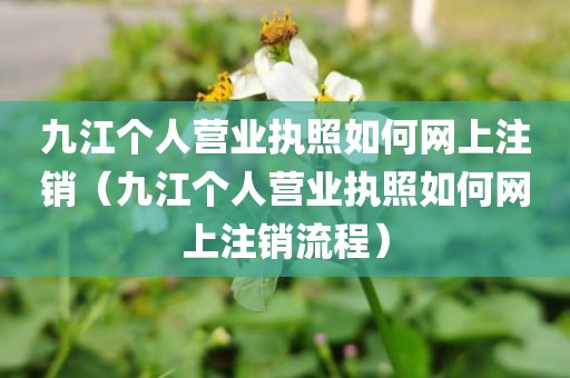 九江个人营业执照如何网上注销（九江个人营业执照如何网上注销流程）