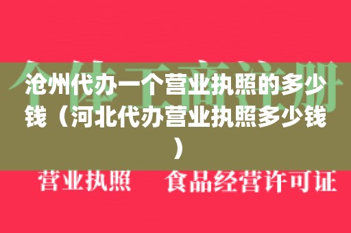 沧州代办一个营业执照的多少钱（河北代办营业执照多少钱）