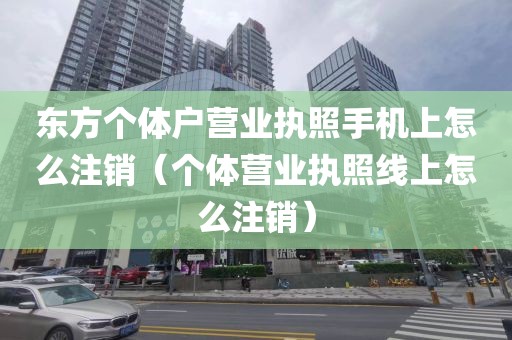 东方个体户营业执照手机上怎么注销（个体营业执照线上怎么注销）