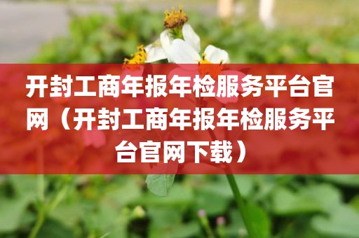 开封工商年报年检服务平台官网（开封工商年报年检服务平台官网下载）