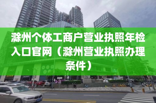 滁州个体工商户营业执照年检入口官网（滁州营业执照办理条件）