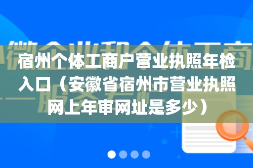 宿州个体工商户营业执照年检入口（安徽省宿州市营业执照网上年审网址是多少）