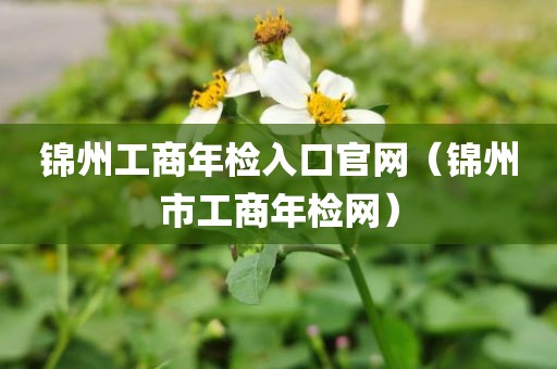 锦州工商年检入口官网（锦州市工商年检网）