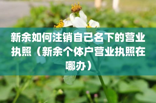 新余如何注销自己名下的营业执照（新余个体户营业执照在哪办）