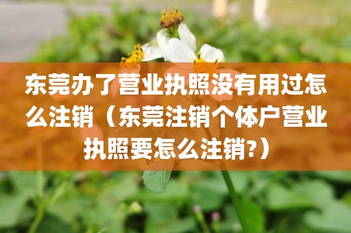 东莞办了营业执照没有用过怎么注销（东莞注销个体户营业执照要怎么注销?）