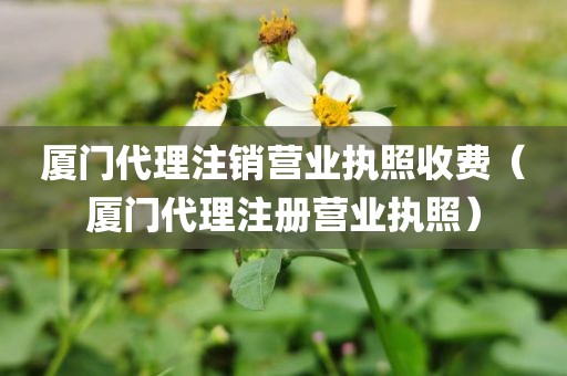 厦门代理注销营业执照收费（厦门代理注册营业执照）