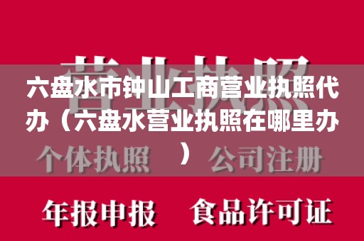 六盘水市钟山工商营业执照代办（六盘水营业执照在哪里办）