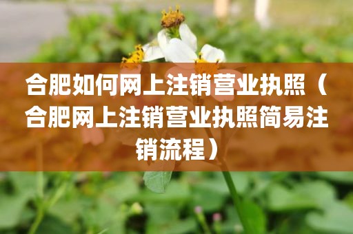 合肥如何网上注销营业执照(合肥网上注销营业执照简易注销流程)