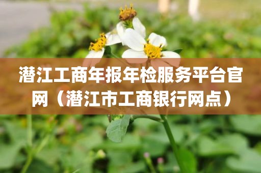 潜江工商年报年检服务平台官网(潜江市工商银行网点)