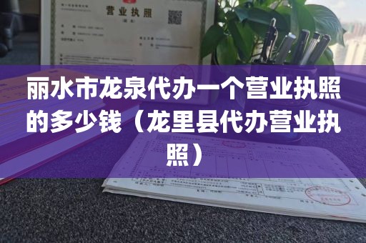 丽水市龙泉代办一个营业执照的多少钱（龙里县代办营业执照）