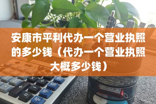 安康市平利代办一个营业执照的多少钱（代办一个营业执照大概多少钱）