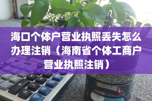 海口个体户营业执照丢失怎么办理注销（海南省个体工商户营业执照注销）