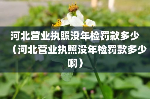河北营业执照没年检罚款多少（河北营业执照没年检罚款多少啊）