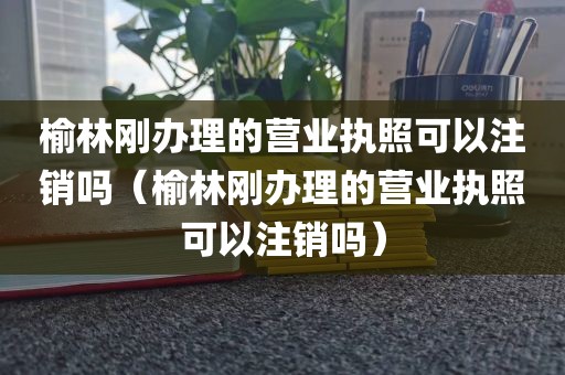 榆林刚办理的营业执照可以注销吗（榆林刚办理的营业执照可以注销吗）