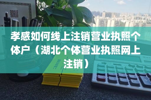 孝感如何线上注销营业执照个体户（湖北个体营业执照网上注销）