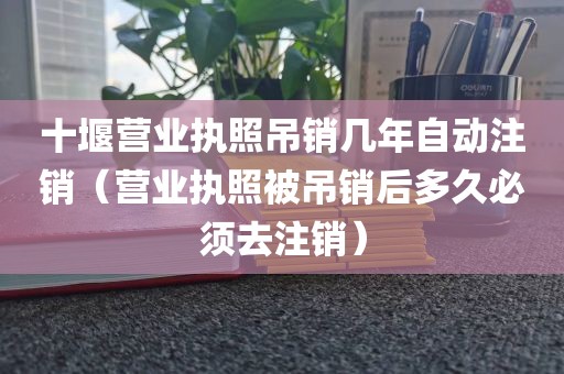 十堰营业执照吊销几年自动注销（营业执照被吊销后多久必须去注销）