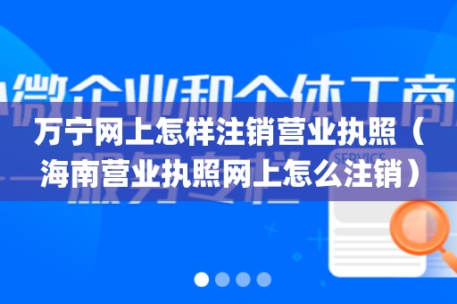 万宁网上怎样注销营业执照（海南营业执照网上怎么注销）