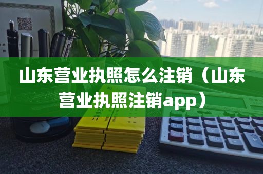 山东营业执照怎么注销（山东营业执照注销app）