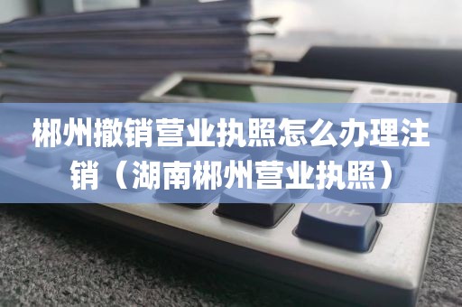 郴州撤销营业执照怎么办理注销（湖南郴州营业执照）