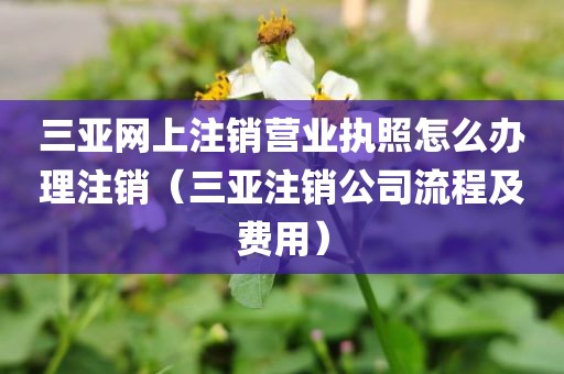 三亚网上注销营业执照怎么办理注销（三亚注销公司流程及费用）