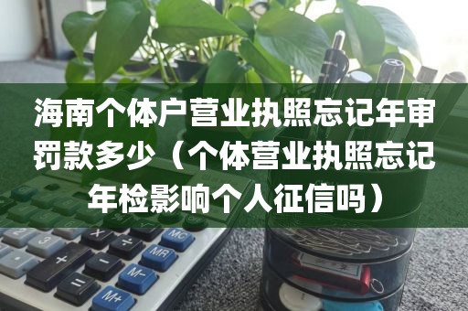 海南个体户营业执照忘记年审罚款多少（个体营业执照忘记年检影响个人征信吗）